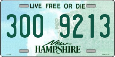NH license plate 3009213