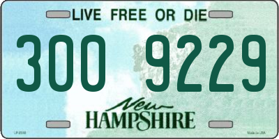 NH license plate 3009229