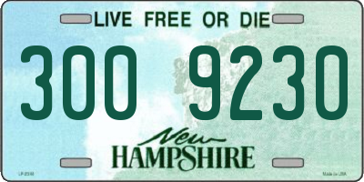 NH license plate 3009230
