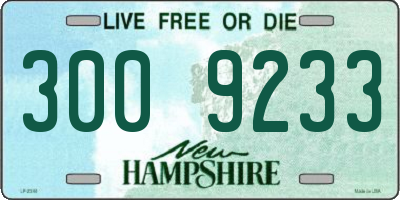 NH license plate 3009233