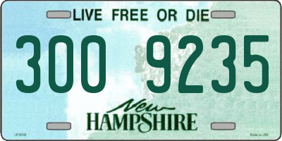 NH license plate 3009235