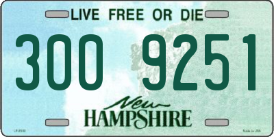 NH license plate 3009251