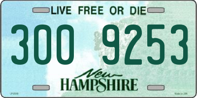 NH license plate 3009253