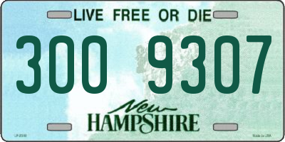 NH license plate 3009307