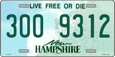 NH license plate 3009312