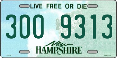 NH license plate 3009313