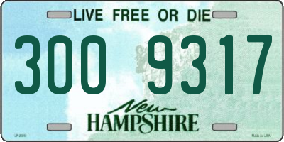 NH license plate 3009317