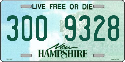 NH license plate 3009328