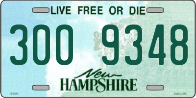 NH license plate 3009348
