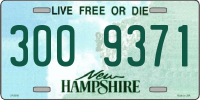 NH license plate 3009371