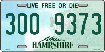 NH license plate 3009373