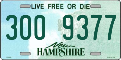 NH license plate 3009377