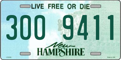 NH license plate 3009411