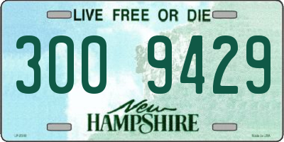 NH license plate 3009429