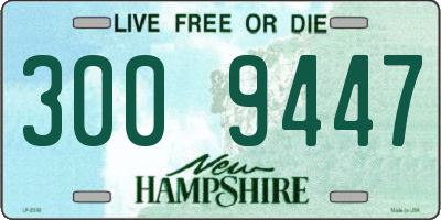 NH license plate 3009447