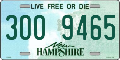 NH license plate 3009465