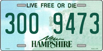 NH license plate 3009473