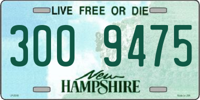 NH license plate 3009475
