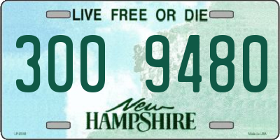 NH license plate 3009480