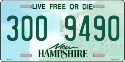 NH license plate 3009490
