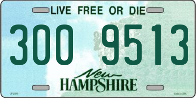 NH license plate 3009513