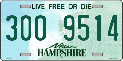 NH license plate 3009514