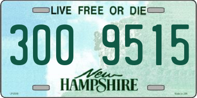 NH license plate 3009515