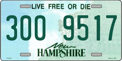 NH license plate 3009517
