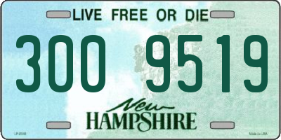NH license plate 3009519