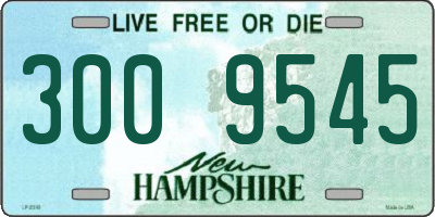 NH license plate 3009545