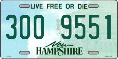NH license plate 3009551