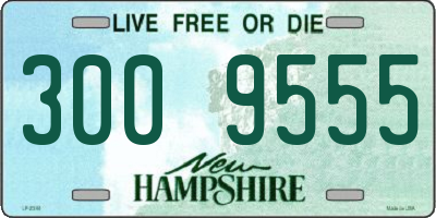 NH license plate 3009555