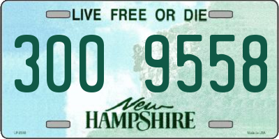 NH license plate 3009558