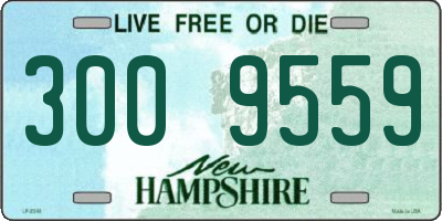 NH license plate 3009559