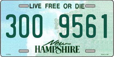 NH license plate 3009561