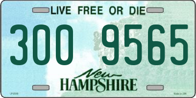 NH license plate 3009565