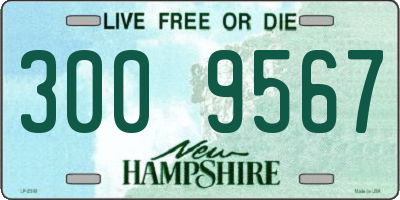 NH license plate 3009567