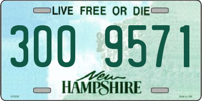NH license plate 3009571