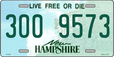 NH license plate 3009573
