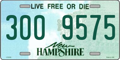 NH license plate 3009575