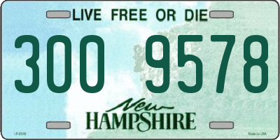 NH license plate 3009578