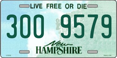 NH license plate 3009579