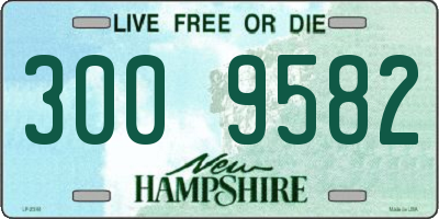 NH license plate 3009582