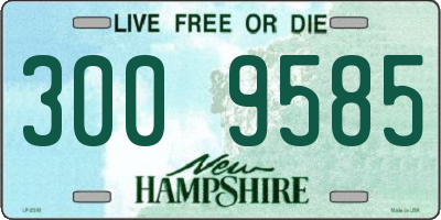 NH license plate 3009585