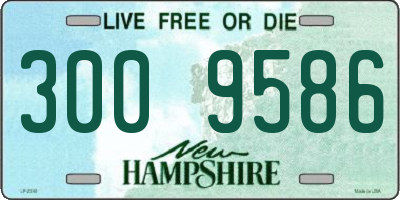 NH license plate 3009586