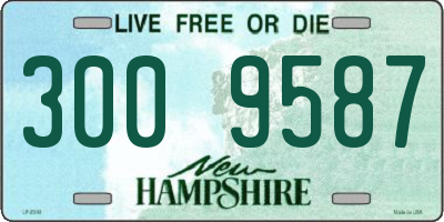 NH license plate 3009587