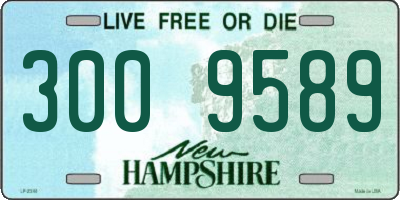 NH license plate 3009589