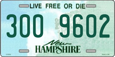 NH license plate 3009602