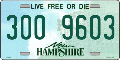 NH license plate 3009603
