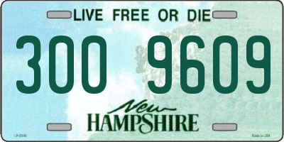 NH license plate 3009609